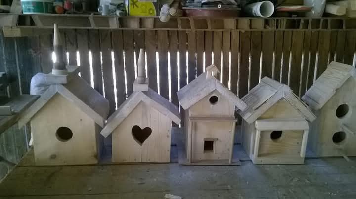 Căsuțe pentru păsări