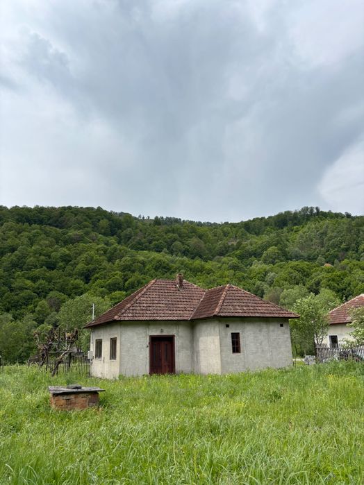 Vând casă și teren în Munteni, comuna Bulz ( Bihor) cu ieșire la DJ