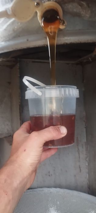 Мёд натуральный 2025 года