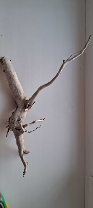 Коряга в аквариум