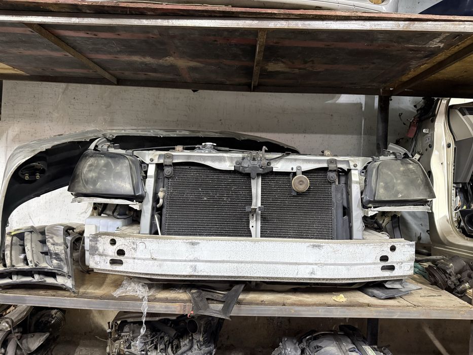 Морда Хайландер 1 поколение