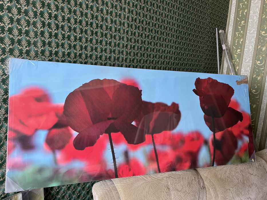 Картины интерьерные , рамки , постеры .