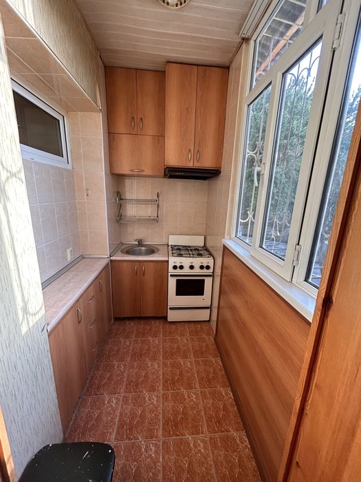 Аренда Кора камиш 1/2 Сой бойи