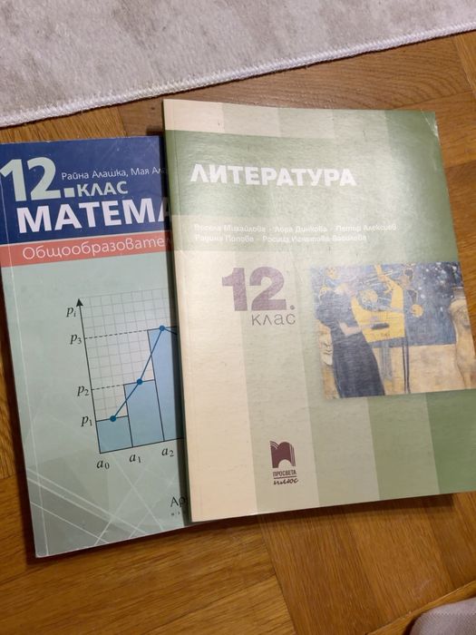 Учебници за 12. клас по математика и литература.