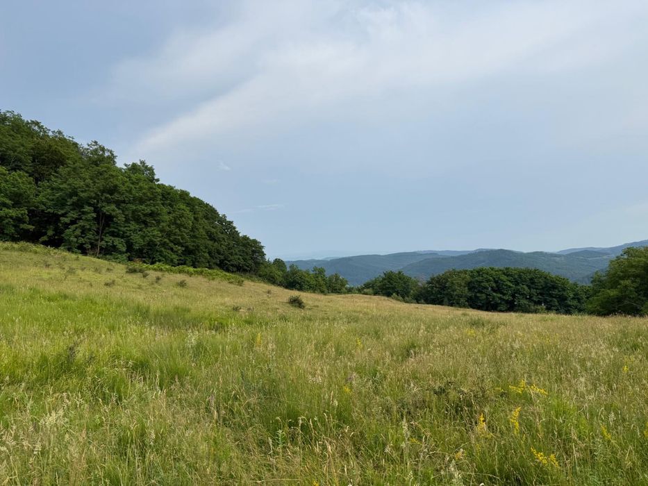 Teren cu livada si casa