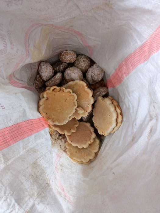 Пряники для животных КРС мрс кур