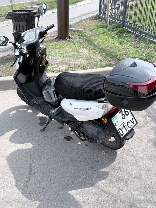 Dayang 2023, 15 550 км