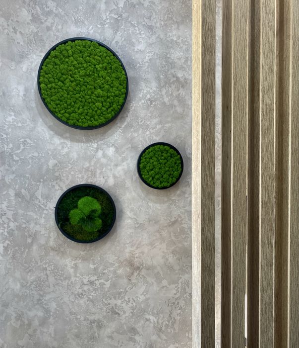 Tablouri cu licheni,muschi si plante stabilizate!