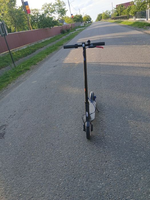 Trotineta de pese sau întriga
