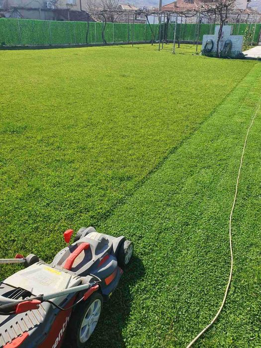 Тревна смеска EASYLAWN с Микродетелина – По-зелена морава с по-малко грижи!