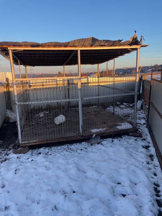 Vând cușcă pentru câini