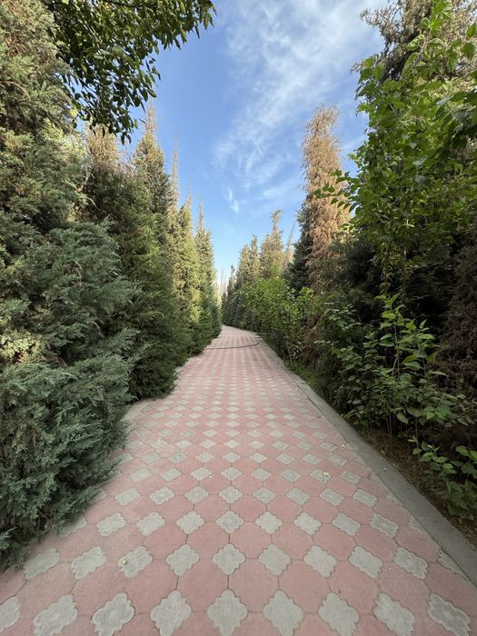 Продаётся Дача в Сырдаринском области