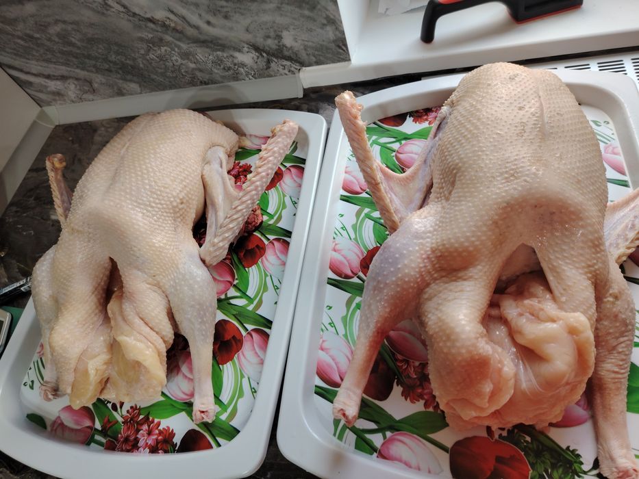 Продам тушки гусей