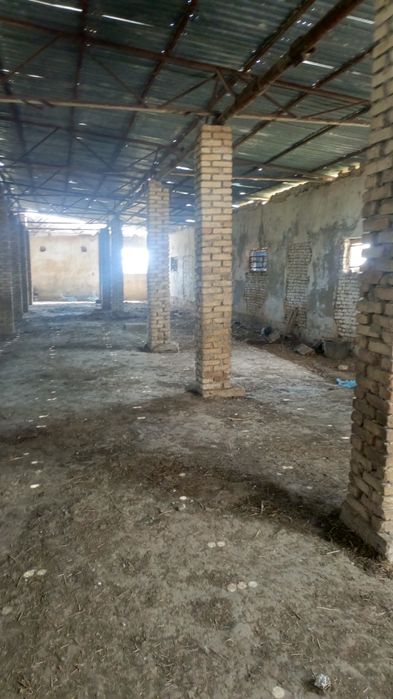 Назарбек тарафда 2 гектар ер селхознозночение доимие фоедаланиш