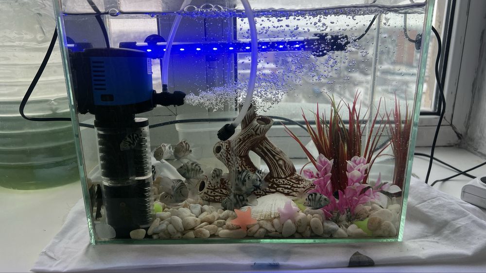 Аквариум Новый Для падорок