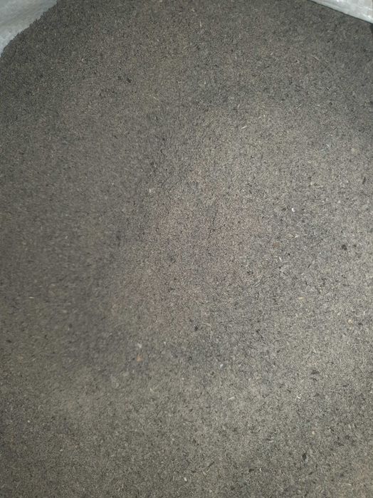 Vand srot floarea soarelui