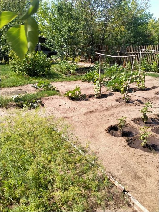 Продам дачу мелиаратор