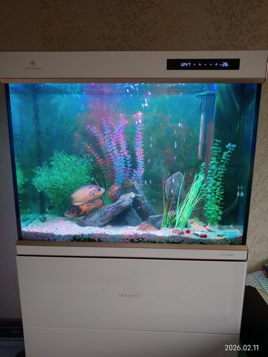 Аквариум Cleair aquatics