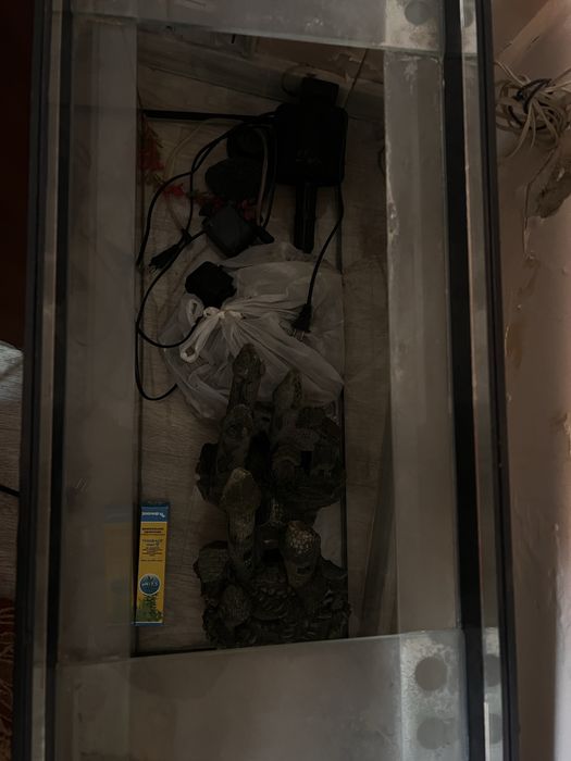 Аквариум домашний