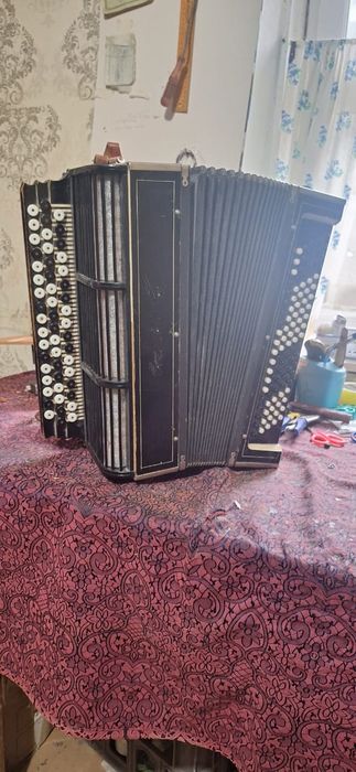 Баяндар сатылымда