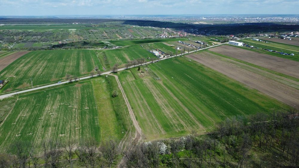 Teren Intravilan langa padure - zona linistita, perfect pentru casa!