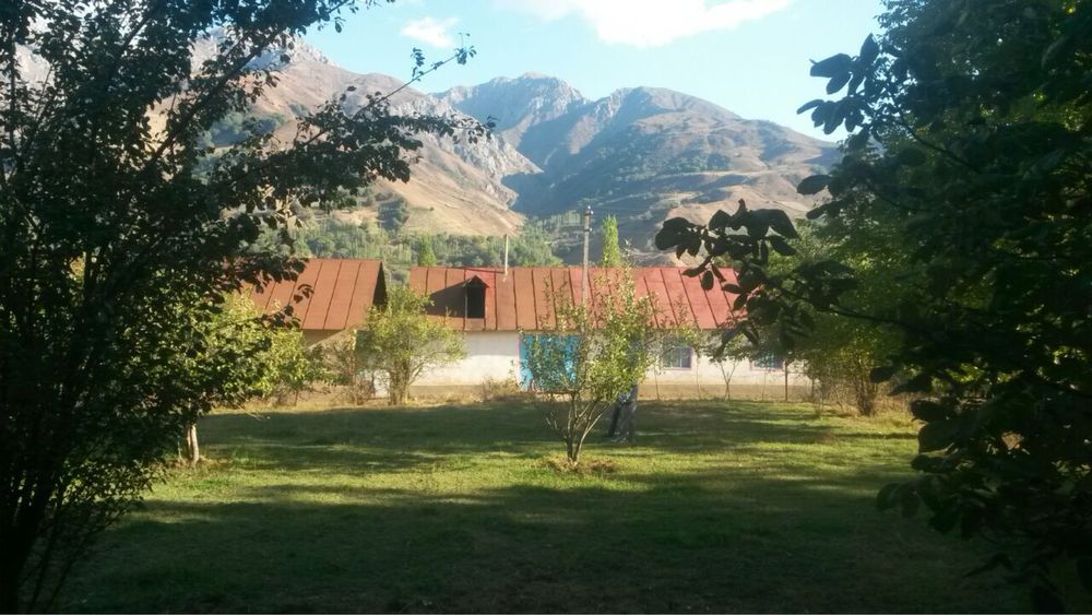 Сижжак наволисой 7 сотх