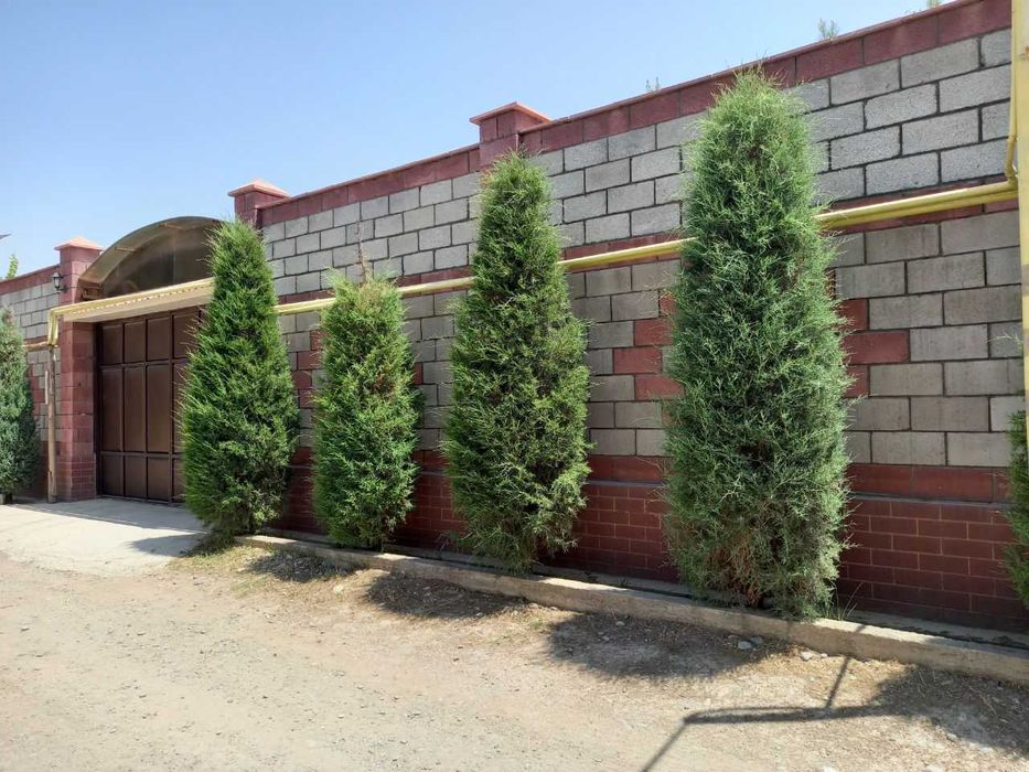 Продаётся 12 соток в Чингельды рядом с парком Новый Узбекистан