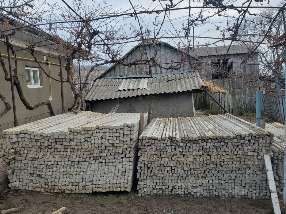 Vand spalieri , pari de beton Italia