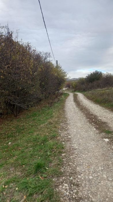 Teren de vânzare