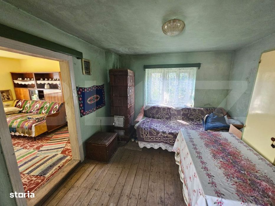Casa traditionala - o investitie cu potential de dezvoltare, Capalna,