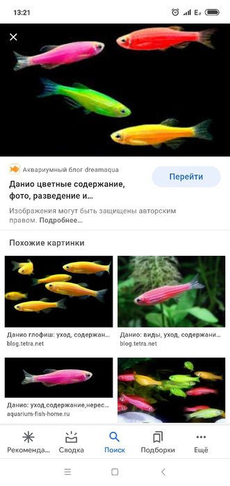 Продам мирных аквариумных рыб