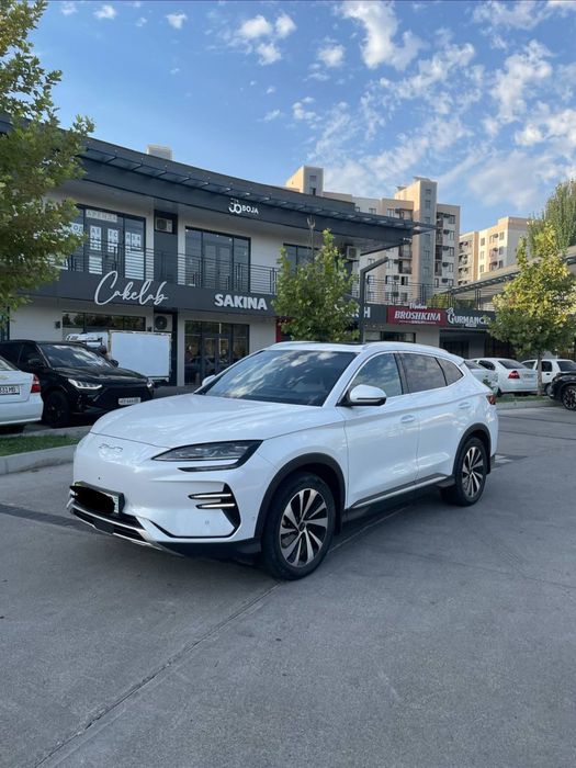 byd  chenpiyon 605 ful 2024