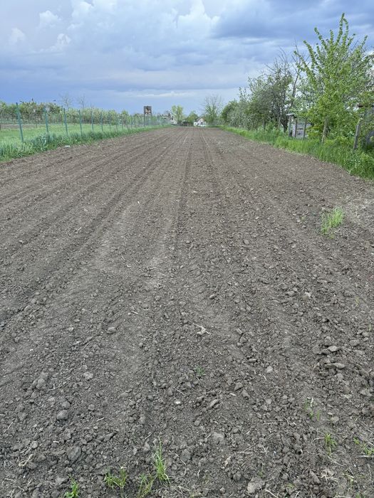 Teren 12 ari . Zona blocurile ANL