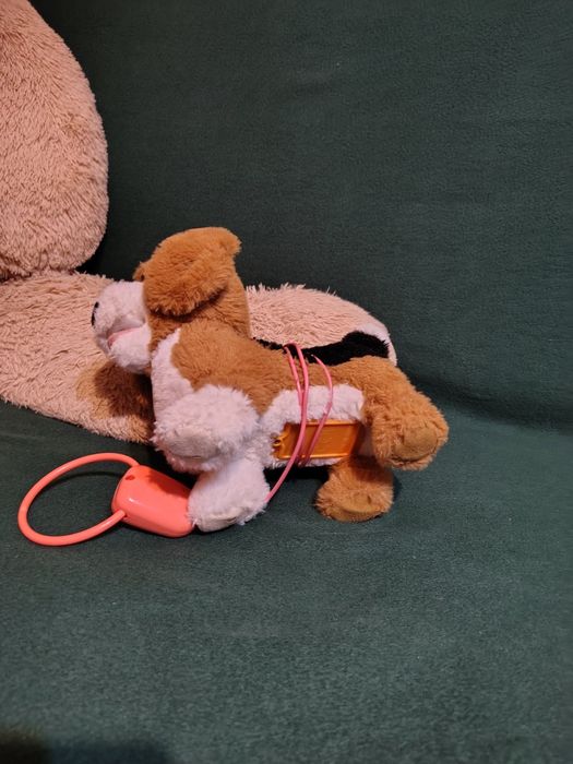 Zigo, Cățelușul Beagle Interactiv
