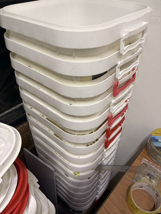 Б/у контейнер емкость 25 л с крышкой