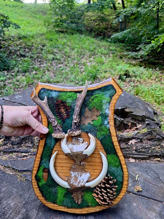 PANOPLIE VANATOARE TROFEU capra neagra, caprior, mistret, coarne cerb