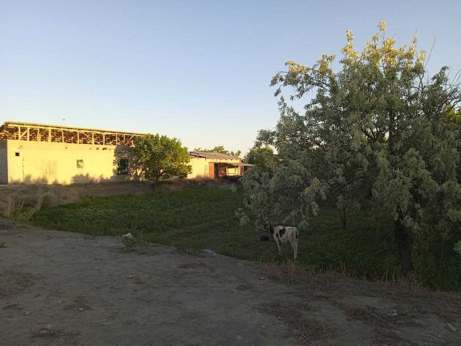 21 Sotixli hovli sotiladi