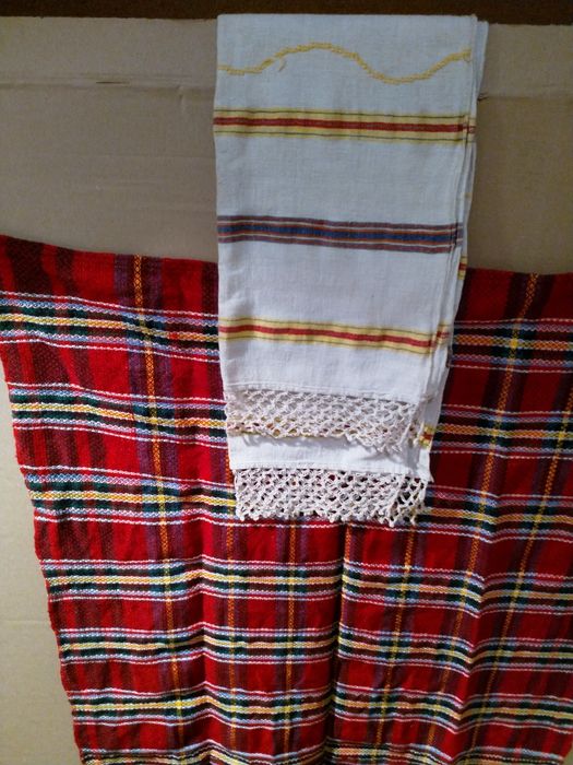 Носия част от носия