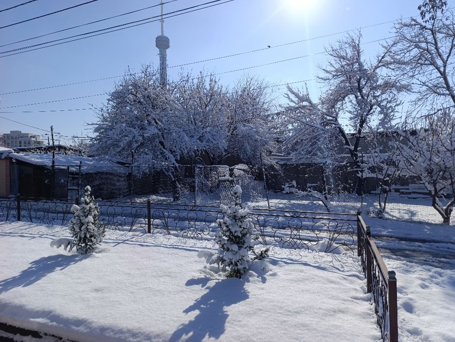 Сдается в аренду земля самозахват