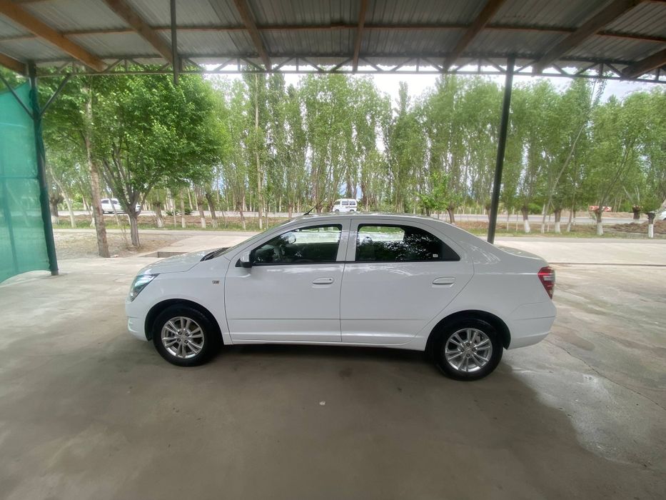 Other Cobalt 2023 — 3