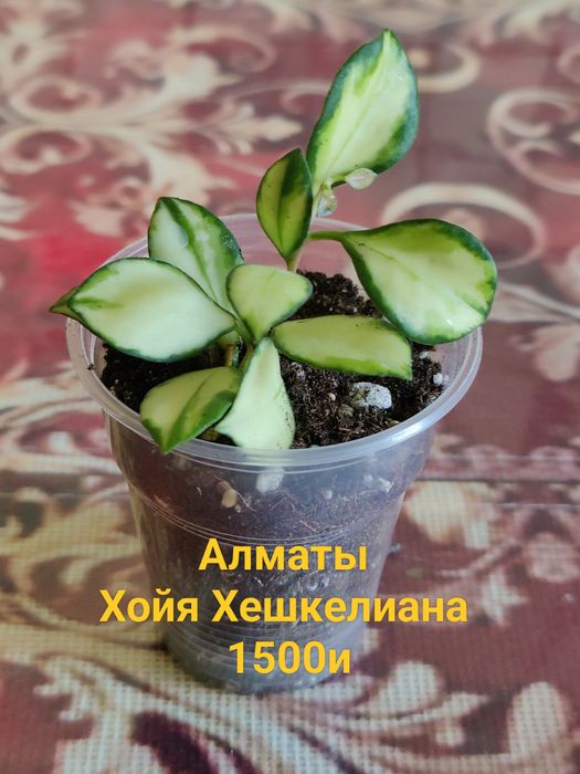 Продам Хобби для души