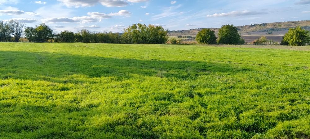 Парцел в регулация.