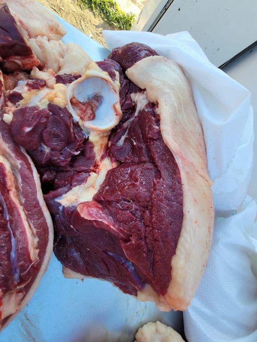 Қазақша секс