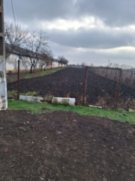 Proprietate mixtă de vânzare în Nădlac Județul Arad Casă modernă + hală/grajd + teren generos 
 Casă modernă + hală/grajd + teren generos 5.654 mp