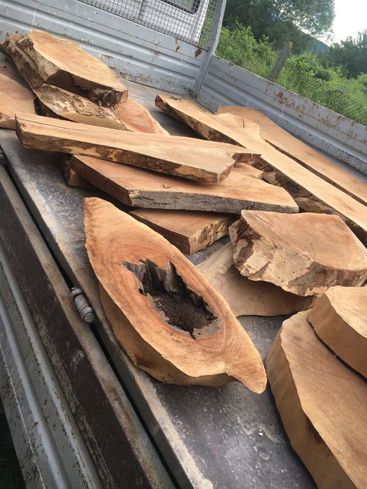 Шайби и янове от Орех