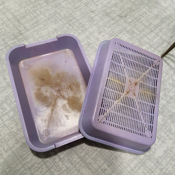 Лоток для кошки     .