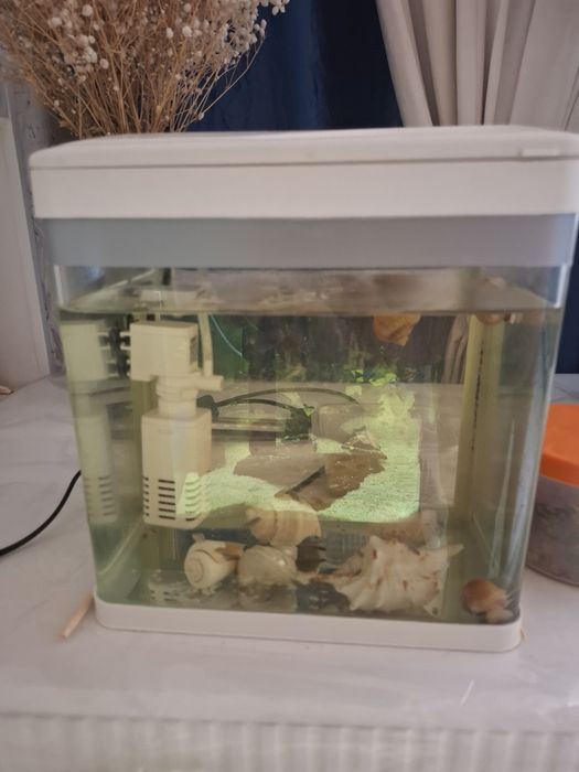 Продам  срочно  3 аквариума