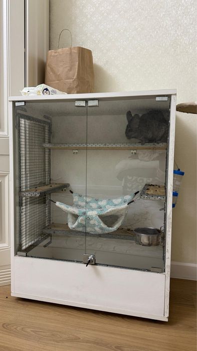 Продам Шиншиллу с клеткой