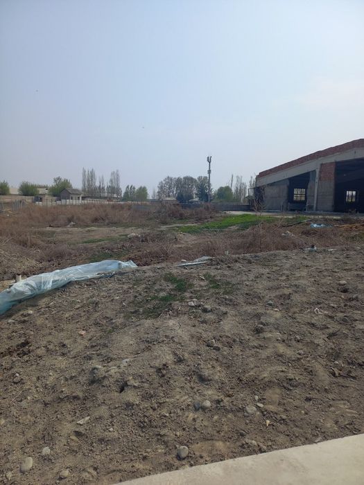 Нотурар жой. Молхона