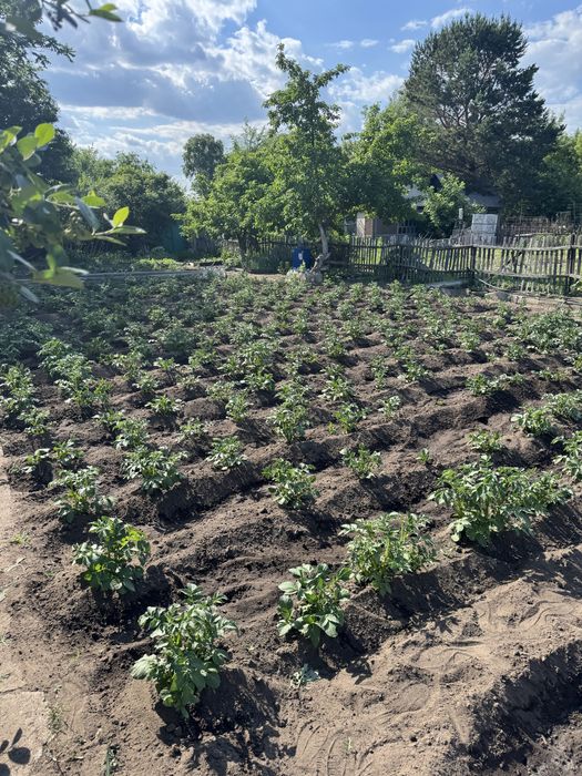 Продам дачу в садоводстве “Здоровье”.